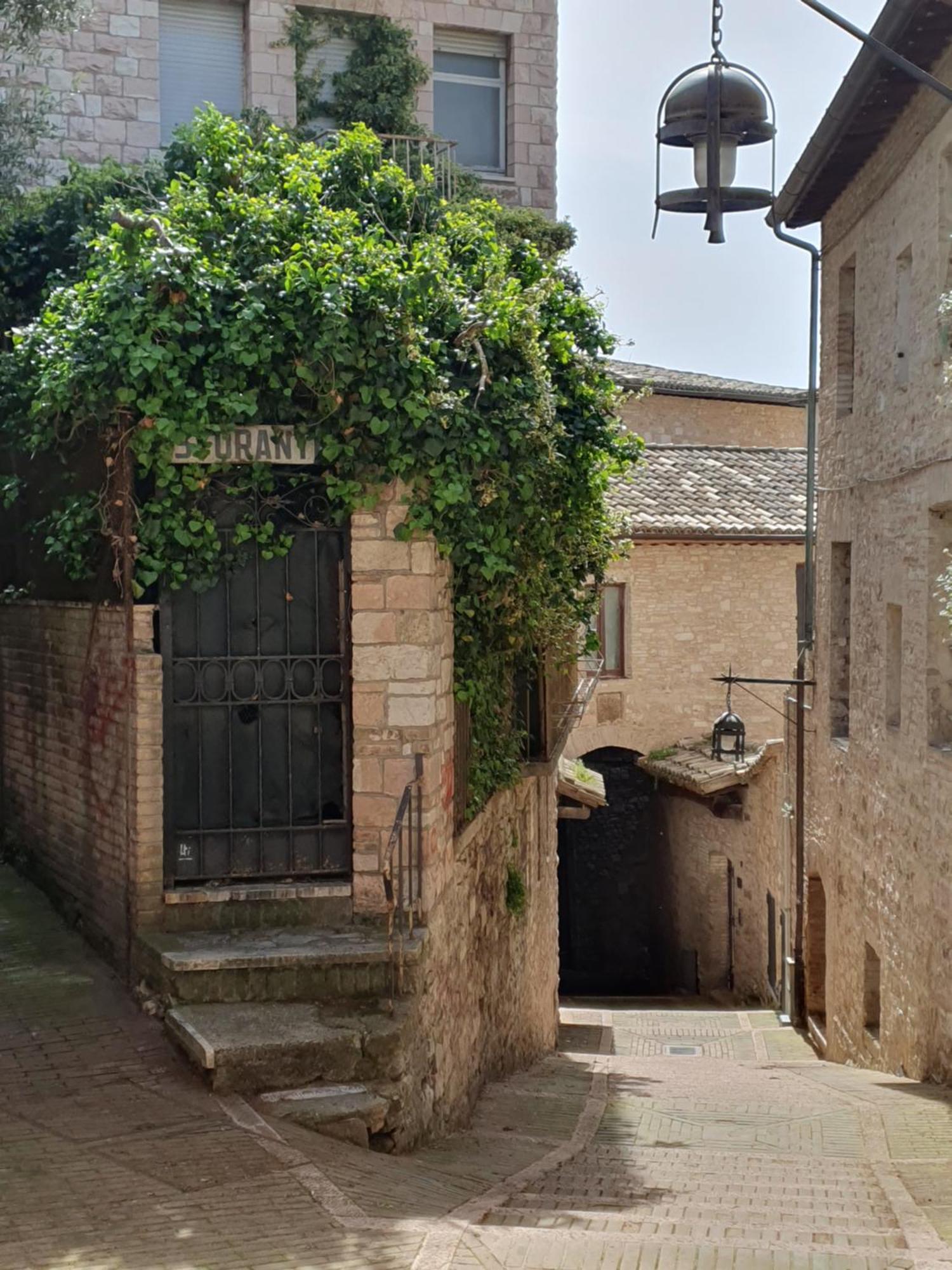 La Perla Di Tamara-Assisi Blu Lejlighed Eksteriør billede